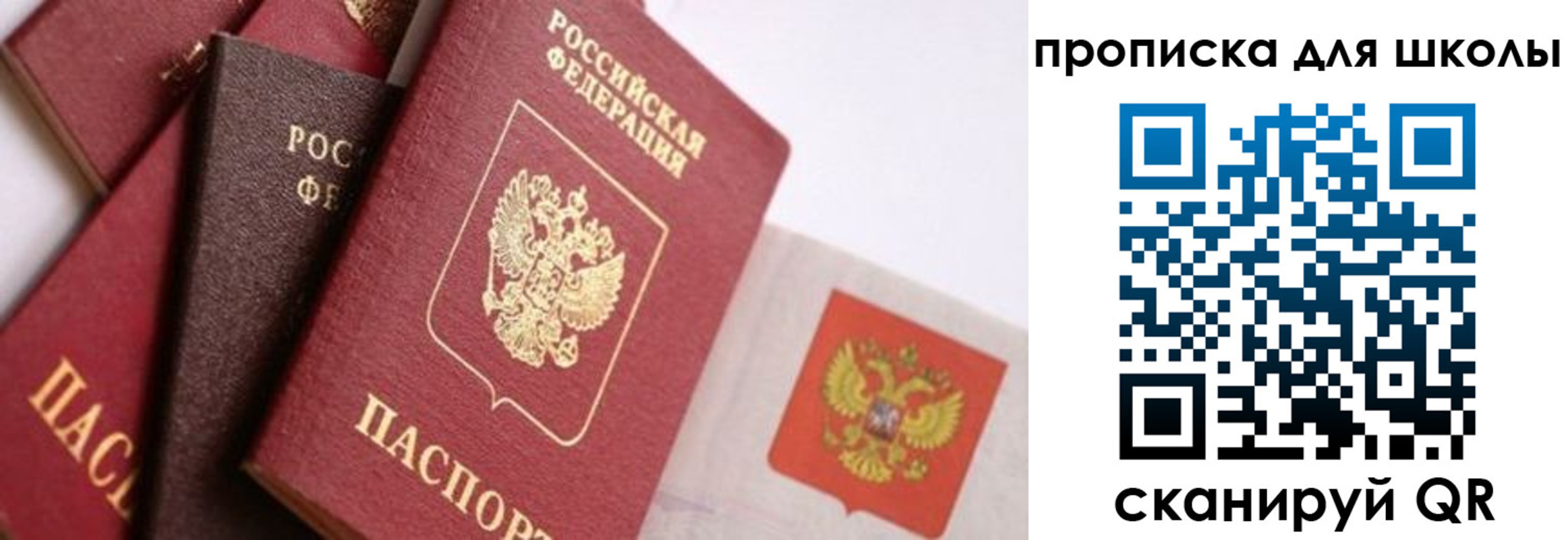 прописка поиск в Сухом Логе